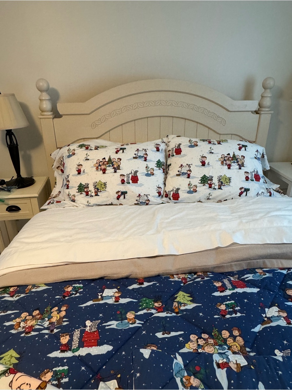 Pottery Barn Holiday Peanuts Character Pillowcases (2) standard